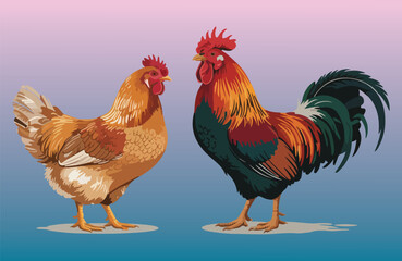 Fototapeta premium Rooster and Hen Picture. Vector Illustration or Icon