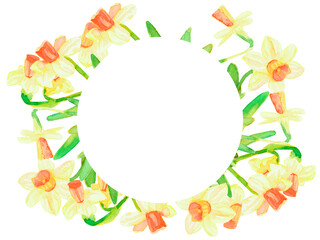 Round frame of daffodils isolated on white background. Watercolor circle round frame hand drawn for invitations, greetings, flyers, print, scrapbooking, decoupage.
