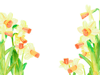 Spring background with yellow daffodils. Postcard, banner for Easter. Spring time. Frame with delicate spring flowers.