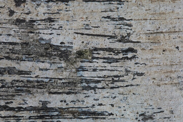 Close up Macro Shot Highlighting Unique Texture Patterns on an Aged Concrete Surface