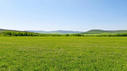 Lush Green Grass Field Under Clear Blue Sky in Majestic Landscape