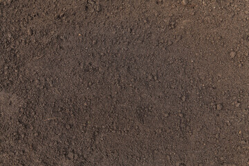 Brown dark black humus, soil ground abstract texture background with copyspace top view