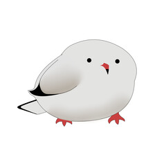 bird