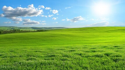 Fototapeta premium Expansive Green Landscape Under Bright Blue Sky with Fluffy Clouds