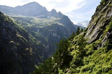 Obraz premium Mountain pass, greenery, rugged cliffs, and peaks in sunlit alpine landscape