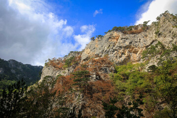 Naklejka premium Scenic landscape of Sutjeska National Park, Bosnia and Herzegovina