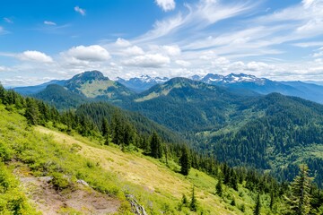 Fototapeta premium Mountain peaks and forest under a blue sky with wispy clouds