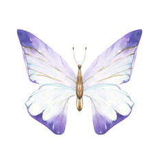 Watercolor Butterfly Illustration: Blue and Purple Transparent Wings, Delicate Insect Art for Design, Beautiful Butterfly with Gradient Wings