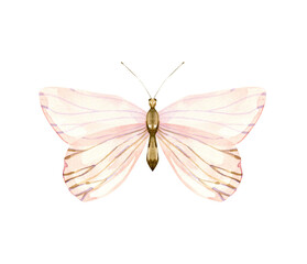 Watercolor  Butterfly Illustration: Peachy Pink Transparent Wings, Delicate Insect Art for Design, Beautiful Butterfly with Gradient Wings