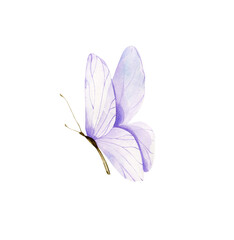 Naklejka premium Watercolor Butterfly Illustration: Purple Transparent Wings, Delicate Insect Art for Design, Beautiful Butterfly with Gradient Wings