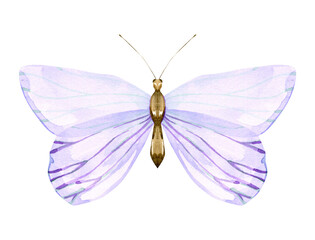 Watercolor Butterfly Illustration: Whimsical Purple Transparent Wings, Delicate Insect Art for Design, Beautiful Butterfly with Gradient Wings