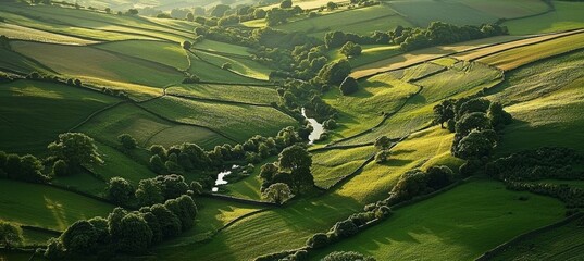 Scenic top-down imagery showcasing expansive green fields and meadows.