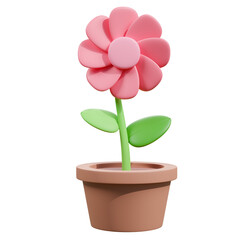 Pink flower in a pot with green leaves