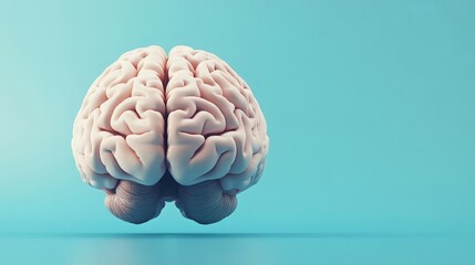 3D rendering of a human brain featuring gyri and sulci against a blue background with ample copy space, ideal for educational and creative content.