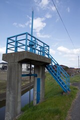 倉敷川　満開の河津桜の春　倉敷川親水公園
