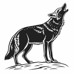 coyote sihouette black vecto