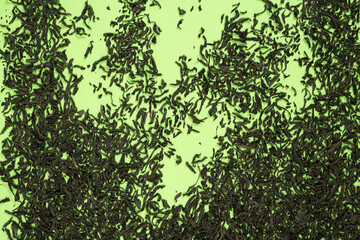 Fototapeta premium Loose black tea scattered on green background