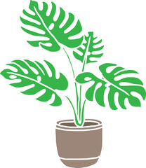 monstera indoor plant pot