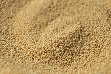 Uncooked Amaranth Seeds. Healthy Gluten-Free Grain Macro