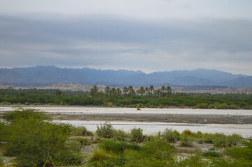 lake and mountains palm tree near river landscape nature view