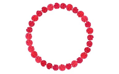 カーネーションのフレーム　①