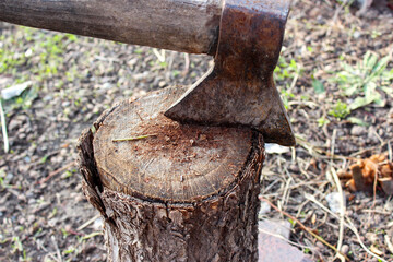 A sharp axe with a wooden handle is stuck into a wooden stump in the garden. A woodcutter's tool....