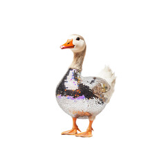 Obraz premium Disco Goose A Glittering Avian Icon