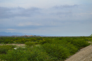 Obraz premium trees in river landscape nature