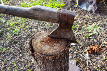 A sharp axe with a wooden handle is stuck into a wooden stump in the garden. A woodcutter's tool. Chop wood.