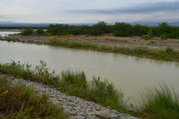 lake in the forest landscape