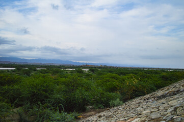 road to the river nature landscape background