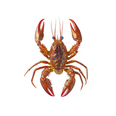 Sparkling Crayfish A Dazzling Close-Up