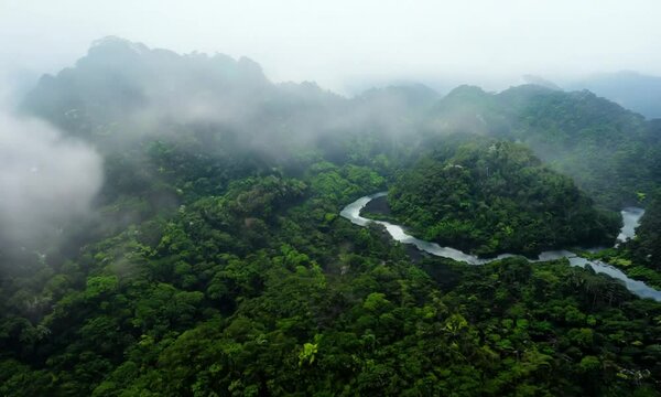 Aerial top down view Cameron Highlands rainforest from foggy cloud at Cameron Highlands