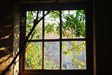 The branches of the tree can be seen swaying gently outside the window.