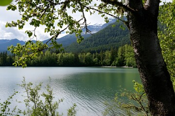 Obraz premium Serene lake framed by tree, mountains, and lush green forest