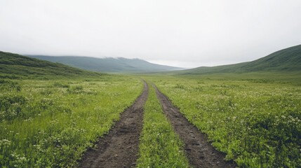 Obraz premium Endless grasslands with a winding road stretching into the horizon, creating a peaceful and scenic landscape. Perfect for travel, adventure, and nature exploration concepts.