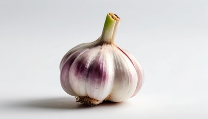 Obraz premium Single bulb of purple stripe garlic