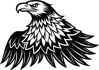 eagle vector illustration 
