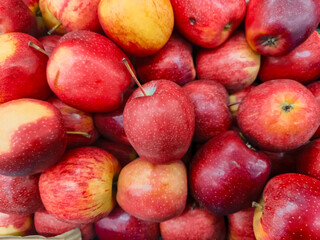 An apple is a round, edible fruit produced by an apple tree Malus spp. Fruit trees of the orchard or domestic apple Malus domestica, the most widely grown in the genus, are cultivated worldwide.