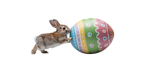 Cute rabbit pushes large colorful Easter egg in playful activity during springtime celebration