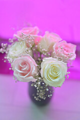 Delicate bouquet of soft pink and creamy white roses with baby's breath in a simple vase against a vibrant purple background creating a romantic and dreamy atmosphere perfect for celebrations