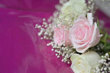 Delicate bouquet of soft pink and white roses adorned with tiny white baby's breath flowers resting gently on a vibrant magenta background capturing the essence of elegance romance and natural beauty
