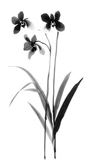 Ink painting, in the style of Chinese style, orchid, transparent background