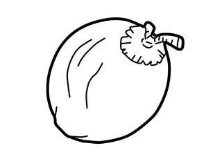 The coconut is drawn with bold black outlines and has a round shape with a textured stem at the top, resembling the typical appearance of a whole coconut.