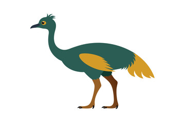 Obraz premium emu isolated on white background