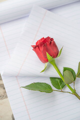 A Single Red Rose on Lined Paper: Symbol of Love and Inspiration, Still Life Composition on Marble Surface, Capturing Romance and Creativity in a Simple Image.