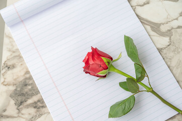 A Single Red Rose on Lined Paper: A Symbol of Love and Expression, Still Life Composition with Empty Space for Text, Capturing Romance and Writing in a Minimalist Style.