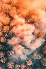 Forest with orange and white clouds in the sky. The clouds are scattered throughout the sky and the trees are in the foreground