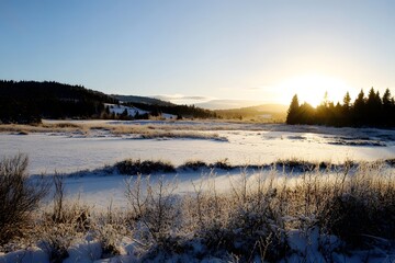 Fototapeta premium Snowy field meets sunrise. Mountains & trees in the background