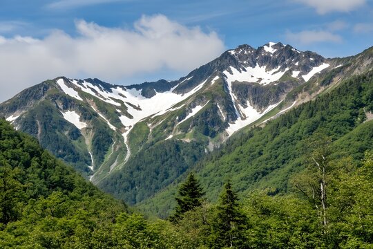 Snowy mountain peaks and lush green forest under a sunny sky